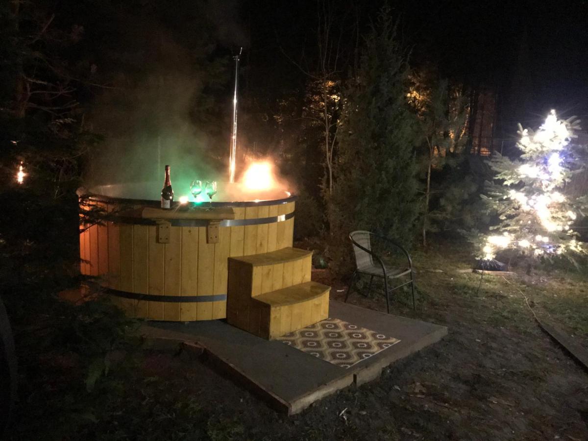 Domek Pod Klonem Zary  Eksteriør billede